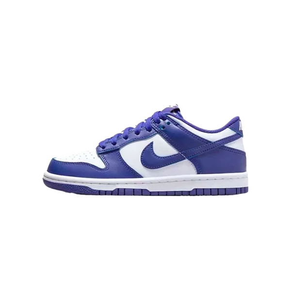 Nike Dunk Low Concord (GS)