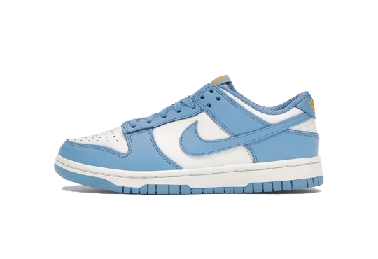 NIKE DUNK LOW COAST (W)