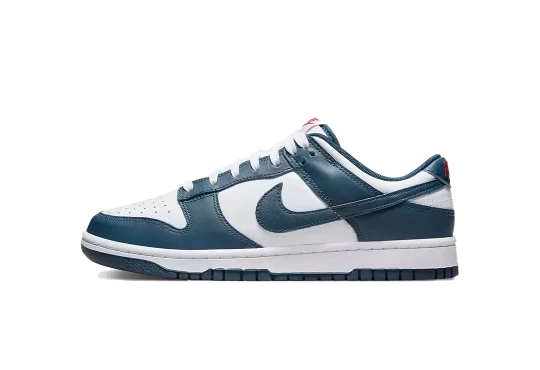 Nike Dunk Low Valerian Blue