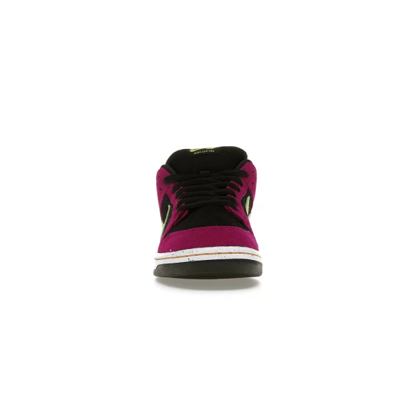 Nike SB Dunk Low Pro ACG Terra Red Plum